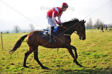 427Moll Carty's Mare (TO'C)